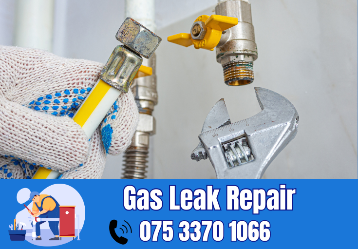 gas leak repair Maidstone