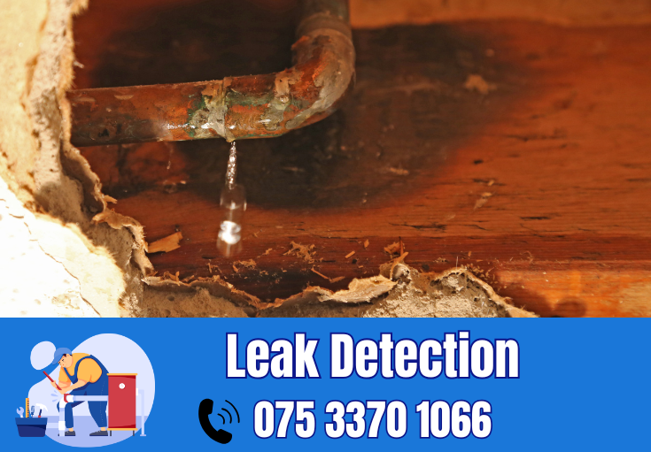 leak detection Maidstone