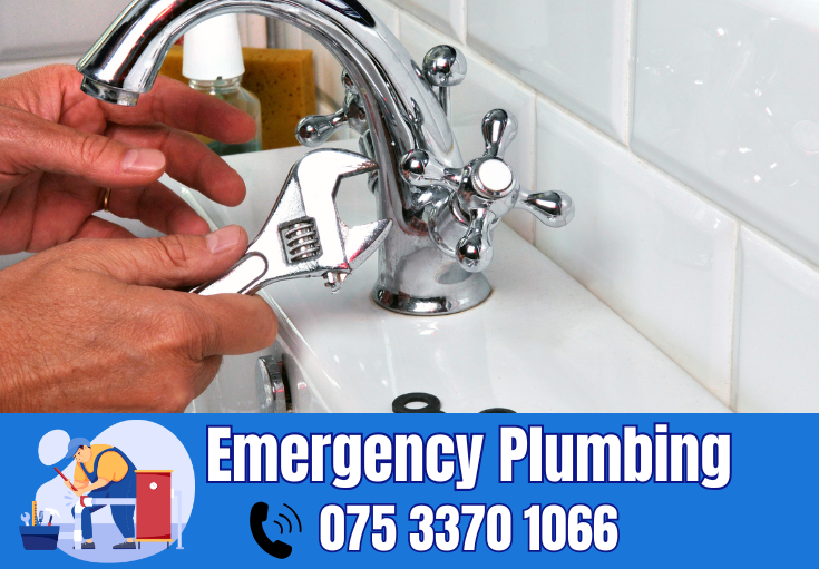  plumber Allington