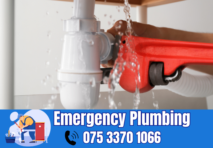  plumber Shepway