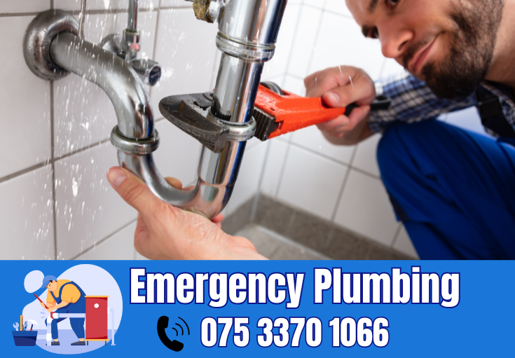  plumber Bearsted