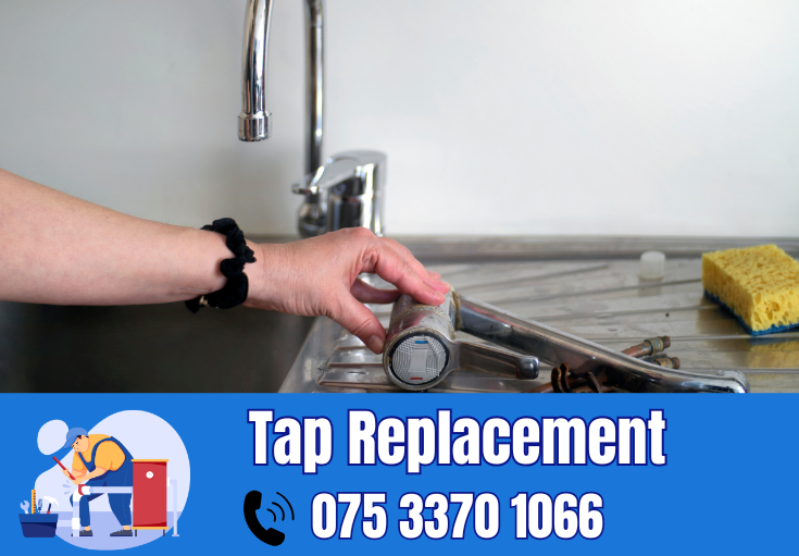 tap repair and replacement Maidstone