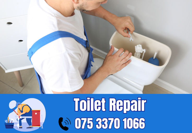 toilet repair Maidstone